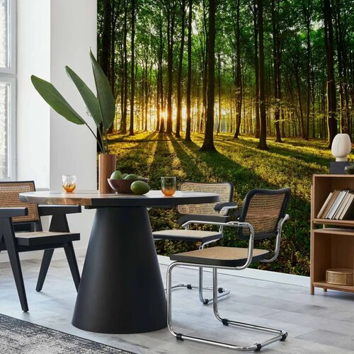  Foto tapeta - Spring: Morning in the Forest 200x140 Premium Cijene