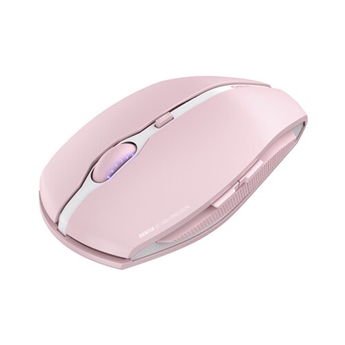 Cherry Gentix BT Blossom Slike