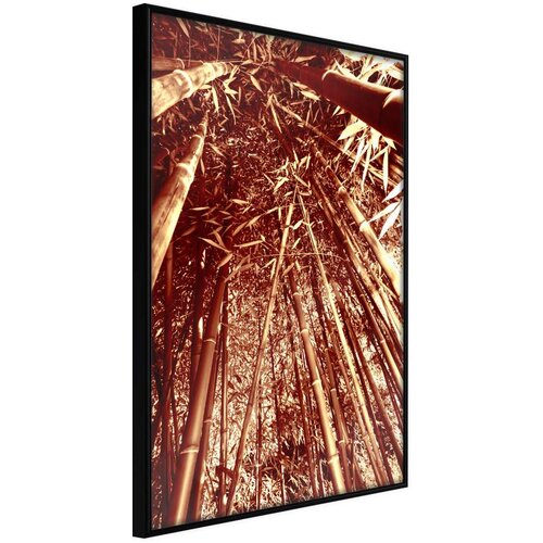  Poster - Asian Forest 40x60 Slike