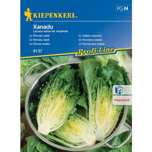 KIEPENKERL Sjeme povrća salata rimska Xanadu (Lactuca sativa var. longifolia, Berba: Svibanj) Slike