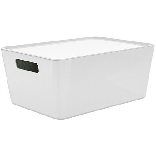 REGALUX Zaboj za shranjevanje R-Box (33 x 24 x 14 cm, plastika) Cene