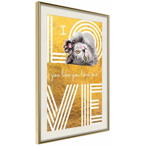  Poster - Cat Love 30x45