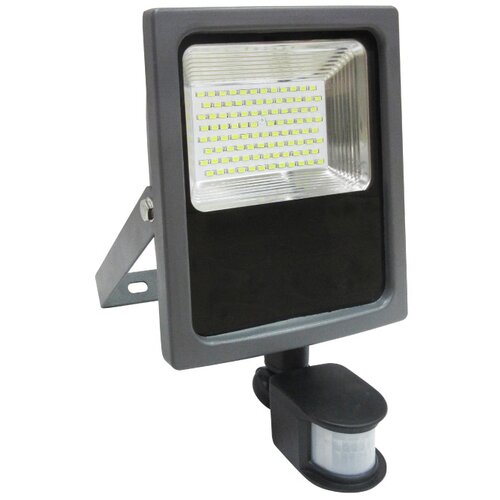  LED reflektor sa PIR senzorom 50W Cene