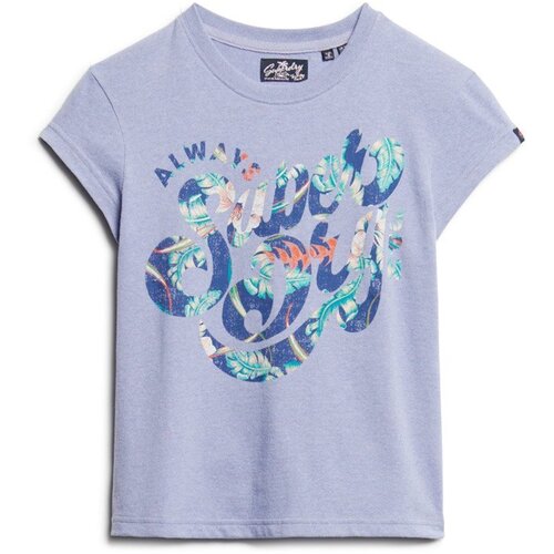 Superdry Majica temno modra / svetlo zelena / sivka / jastog Cene
