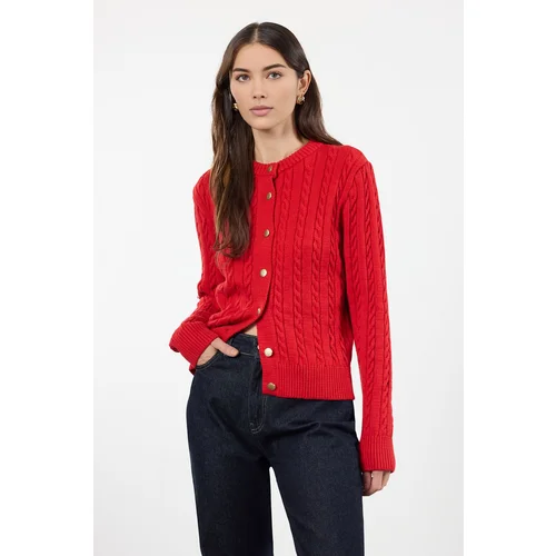 Trendyol Red Premium Yarn/Special Yarn Knit Detailed Jacket-Looking Knitwear Cardigan