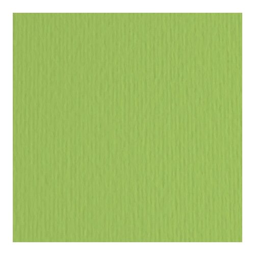 Fabriano elleerre hamer papir b1 220g - odaberite nijansu verde pisello ( 193009 ) Slike