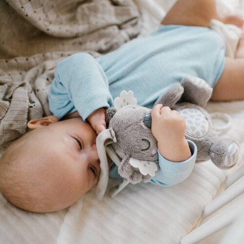 BabyOno Glazbena igračka koala Coco Slike