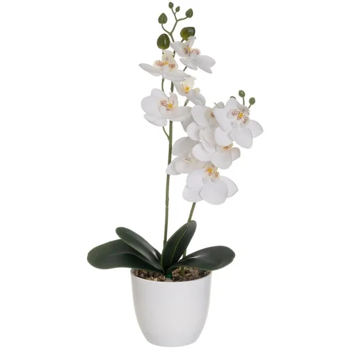 Casa Selección Umetna rastlina (višina 39 cm) Orchid –