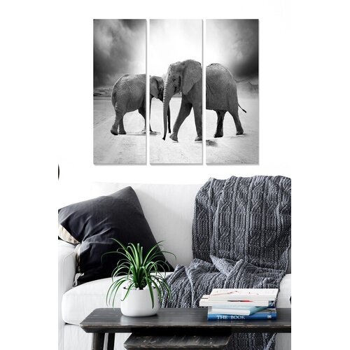 Wallity Set slika MDF970456, 3 dijela Cijene