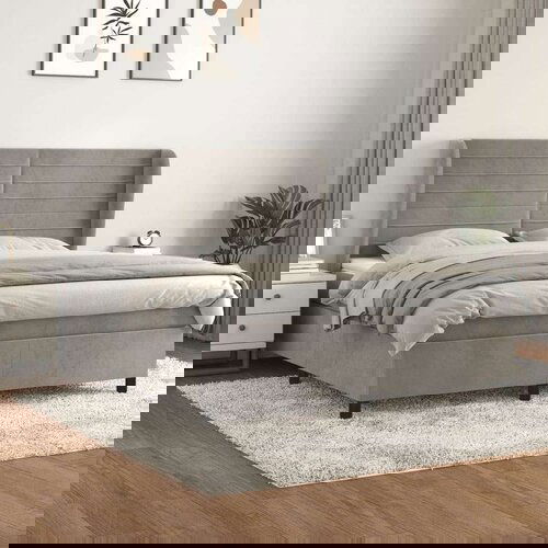  Box spring postelja z vzmetnico svetlo siva 160x200 cm žamet, (20899822) Cene