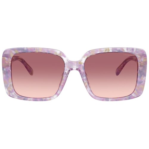 Coach Cad54 Naočare za sunce HC 8424U 58677W Cene