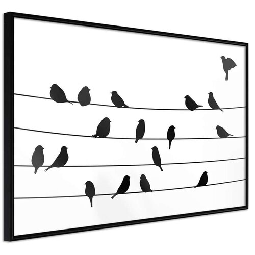  Poster - Birds Council Meeting 60x40 Cene