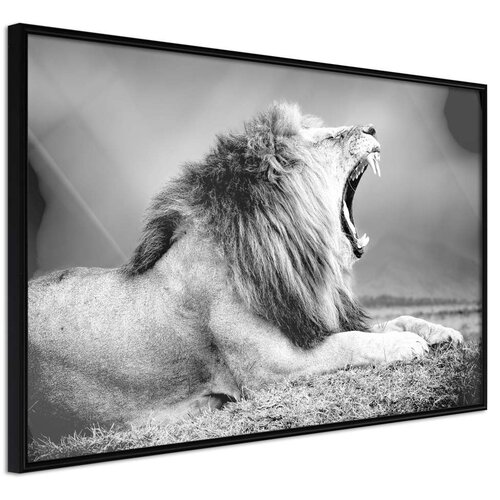  Poster - Yawning Lion 90x60 Slike