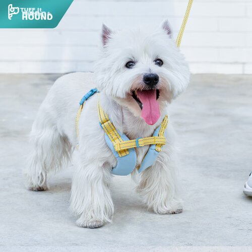  Tuffhound Am sa povocem za pse, L, Svetloplavi Slike