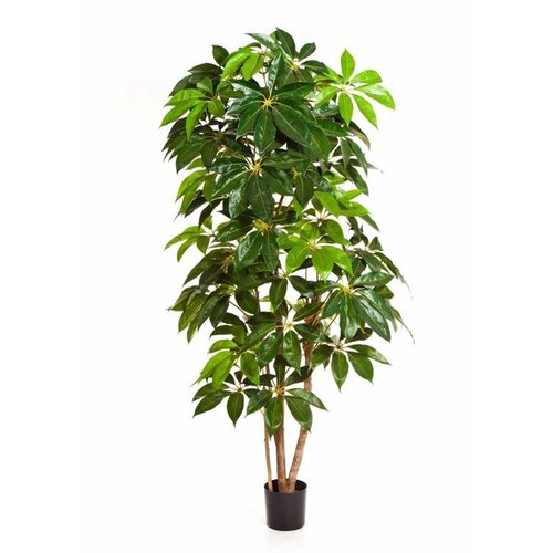 Floraworld Ve&scaron;tačka &scaron;eflera h214 zelena Cene