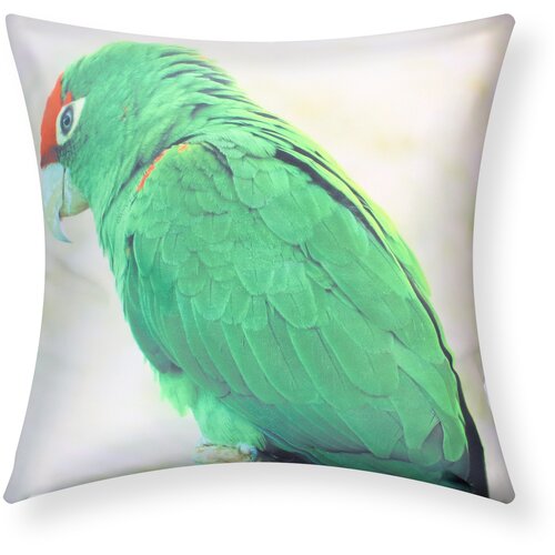 AVIZAR Komplet 2 prevlek za blazine 40x40 cm Zelena Macaw Design, Blanc / Vert, (21747237) Cene