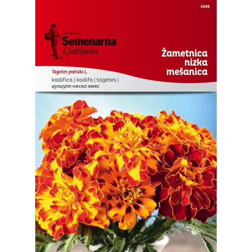 Semenarna Ljubljana Žametnica nizka me&scaron;anica - 2 g Cene