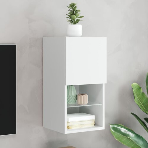 vidaXL TV ormarić s LED svjetlima bijeli 30 5 x 30 x 60 cm Cijene