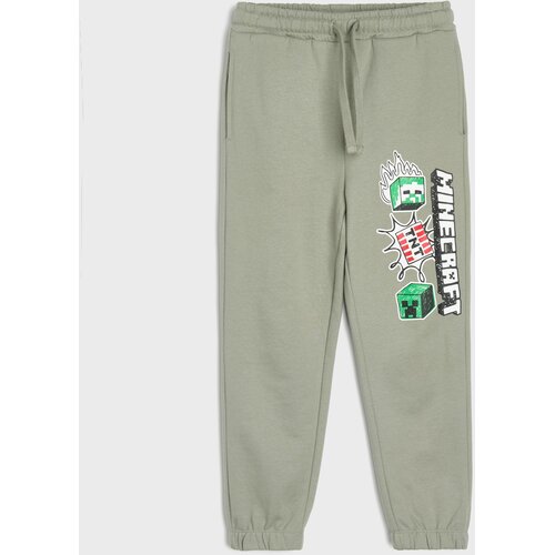 Sinsay Donji dio trenirke loose jogger Minecraft Slike