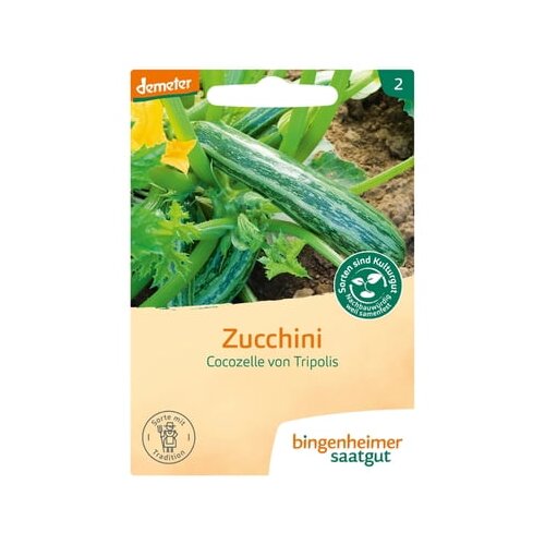 Bingenheimer Saatgut bučke "Cocozelle von Tripolis" Cene