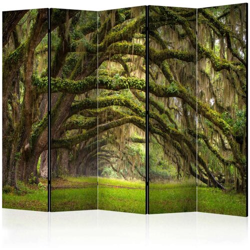  Paravan u 5 dijelova - Tree embrace II [Room Dividers] 225x172 Slike