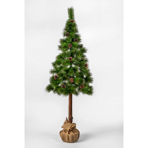 Grips Novogodi&scaron;nja jelka bor zeleni deko 220cm Cene