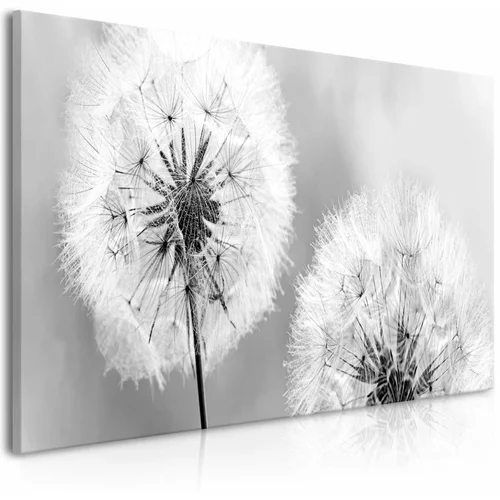  Slika - Fluffy Dandelions (1 Part) Grey Wide 100x45