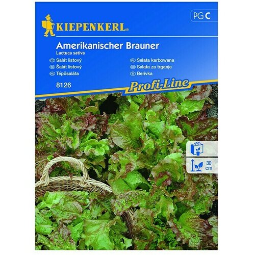 KIEPENKERL Sjeme salate (Lactuca sativa) Cijene