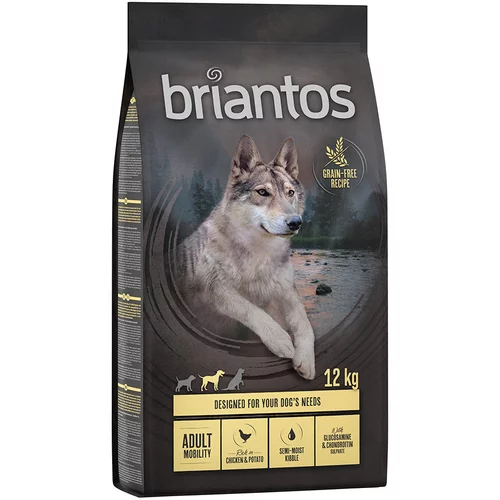 briantos - BREZ ŽIT suha pasja hrana 2 x 12 kg po posebni ceni! - Adult Mobility piščanec & krompir - BREZ ŽIT