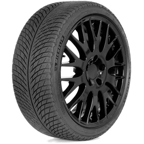 Michelin 265/35R21 101V PILOT ALPIN 5 FSL Slike