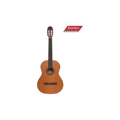  GITARA KLASIČNA FLIGHT C-225 NAT Slike