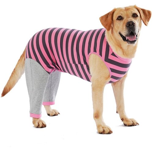 INF Oblačila za pse Corgi Teddy - Jesenska in zimska oblačila za male in velike pse Pink M, (5000078580) Cene