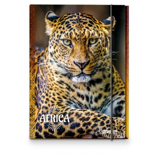STREET Mapa z elastiko Africa A4 1cm Cene