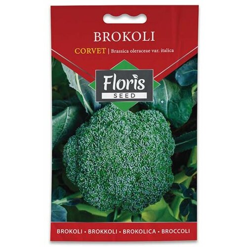 Floris seme povrće-brokoli korvet 1g FL Slike