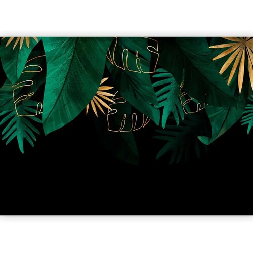  Foto tapeta - Jungle and composition - motif of green and golden leaves on a black background 500x350 Slike