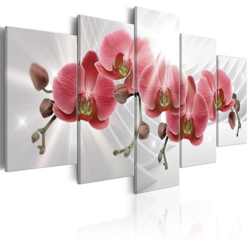  Slika - Abstract Garden: Red Orchis 100x50 Slike