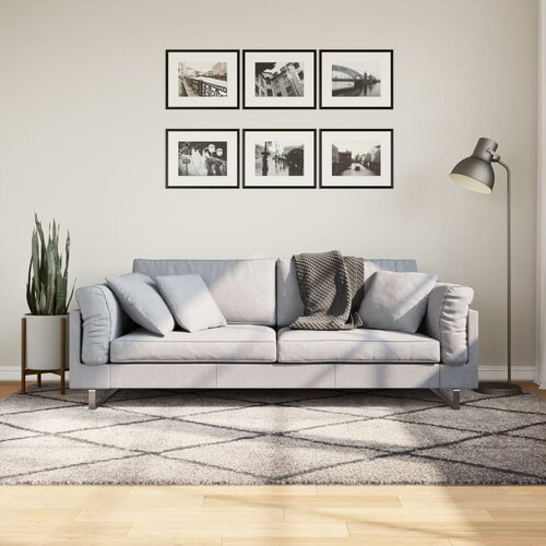 VidaXL Ko&amp;scaron;ata preproga moderna bež in antracit 160x230 cm Slike