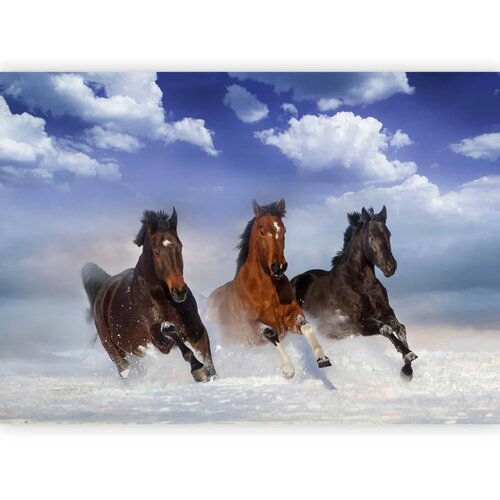  Foto tapeta - Horses in the Snow 98x70 Samoljepljiva Slike