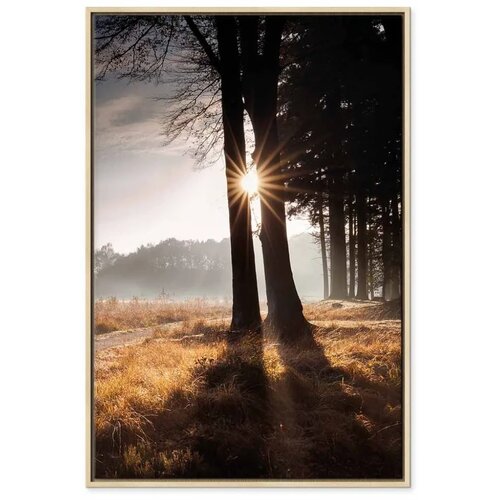  Slika - We Are a Ray (1 Part) Vertical 80x120 U prirodnom drvenom okviru Cijene