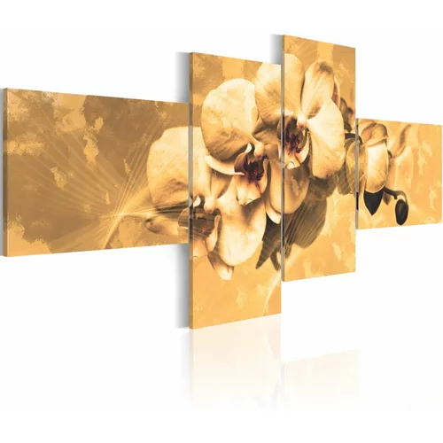  Slika - Orchids in sepia 100x45
