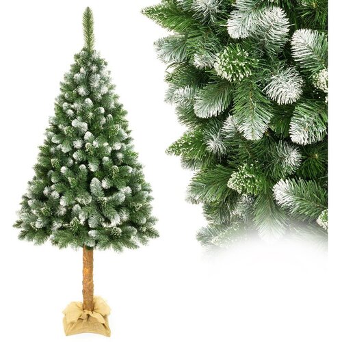  Božićna jelka na deblu 180 cm, bor Cene