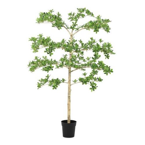  LONČANICA UMJETNA PITTOSPORUM 160 CM BIZZOTTO Cijene