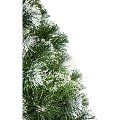  Božićna jelka na panju 180 cm bor Slike