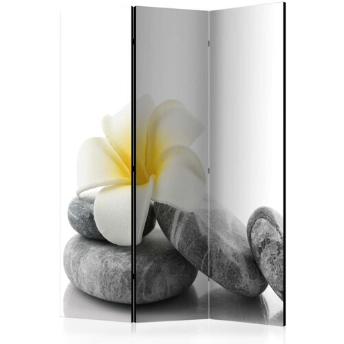  Paravan u 3 dijela - White Lotus [Room Dividers] 135x172 Cijene