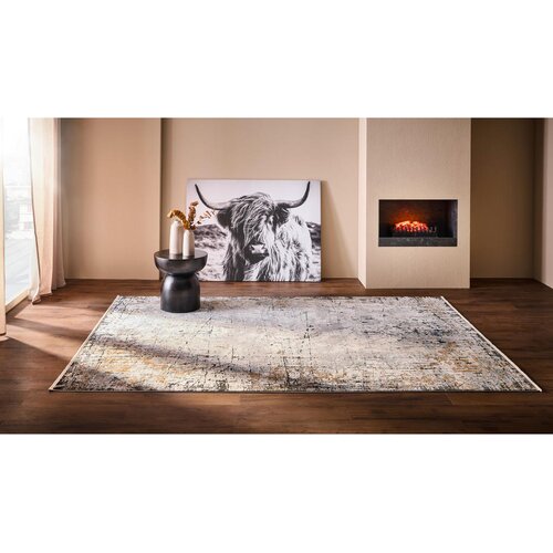 Dieter Knoll tkana preproga Poseidon 200/290 cm tkano siva, večbarvno Slike