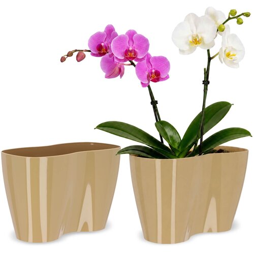 KADAX cvetlični lonec, cvetlični lonec, plastični cvetlični lonec, orhideja, 23 cm, bež, (5000353592) Slike