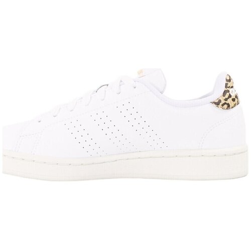 Adidas Nizke superge Advantage Bela Slike
