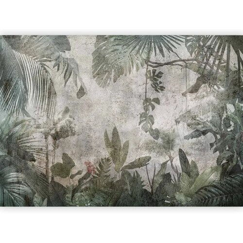  Foto tapeta - Rain Forest in the Fog 150x105 Cene