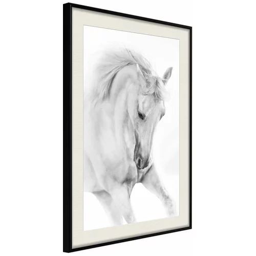  Poster - Beauty in Motion 20x30