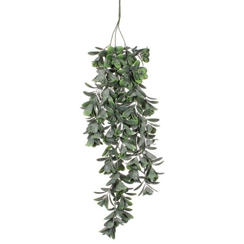  Cvet CRASSULA 79cm 1021018 - Green - EDL Cene